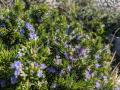 wanderung-mallorca-cap-de-formentor-outdoormaedchen-25